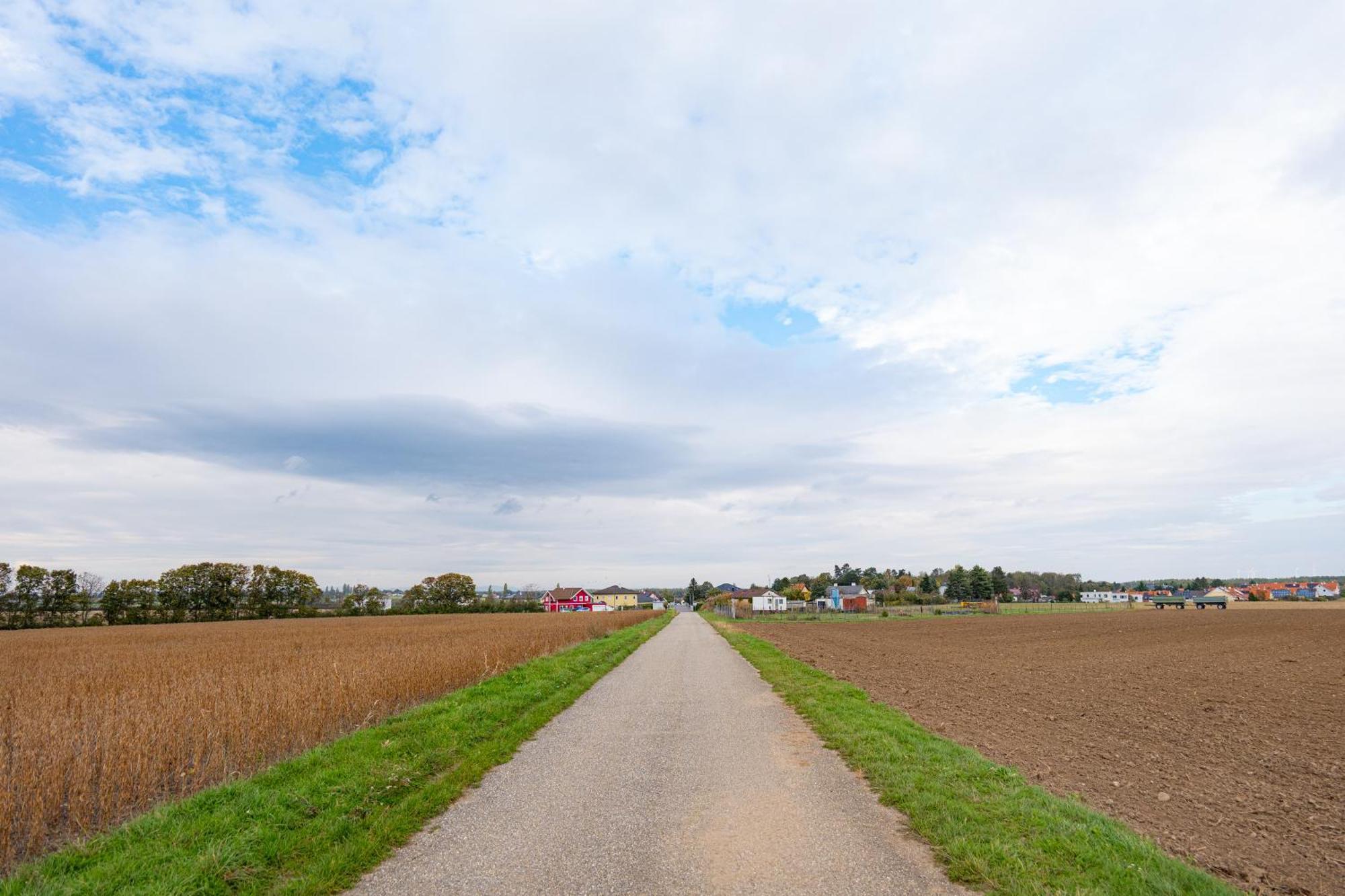 Villa Rose Close To Vienna & Airport Maria Ellend Екстер'єр фото
