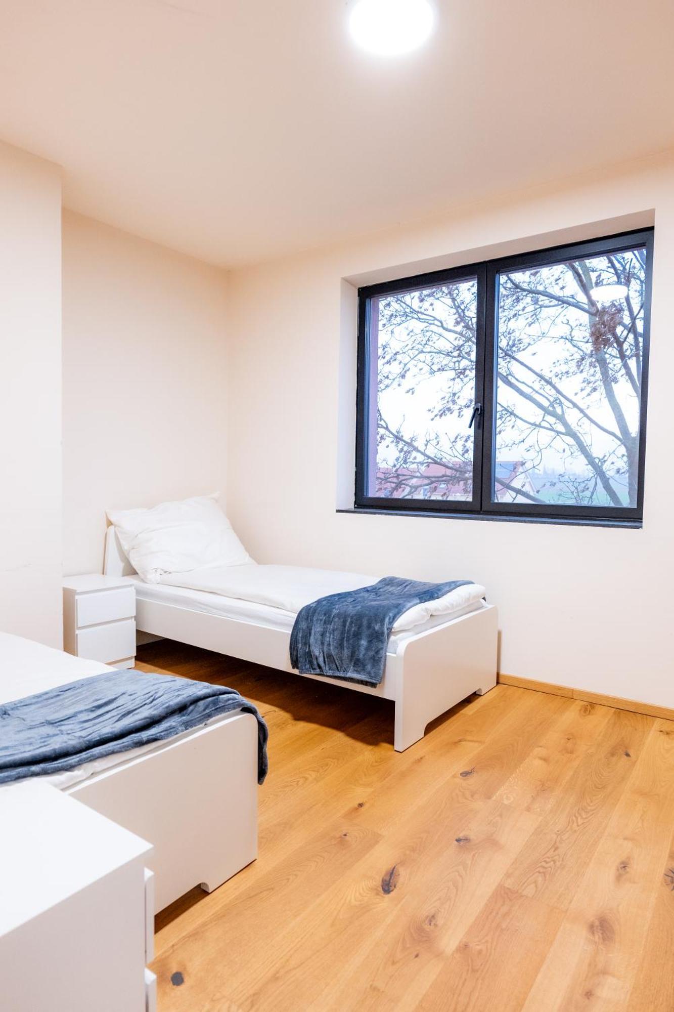 Villa Rose Close To Vienna & Airport Maria Ellend Екстер'єр фото